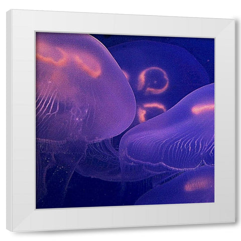 Jellyfish Dance II White Modern Wood Framed Art Print by Crane, Rita