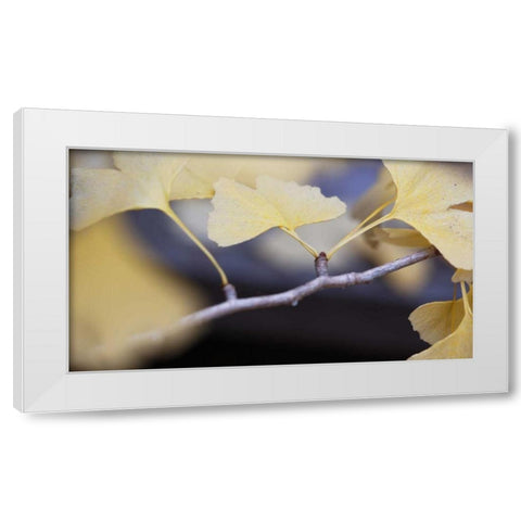 Autumn Gingko I White Modern Wood Framed Art Print by Crane, Rita