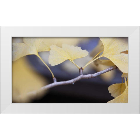 Autumn Gingko I White Modern Wood Framed Art Print by Crane, Rita