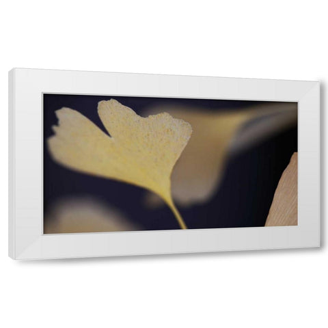 Autumn Gingko II White Modern Wood Framed Art Print by Crane, Rita