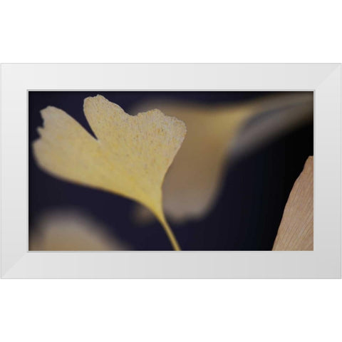 Autumn Gingko II White Modern Wood Framed Art Print by Crane, Rita