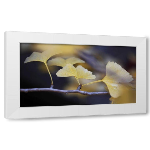 Autumn Gingko III White Modern Wood Framed Art Print by Crane, Rita