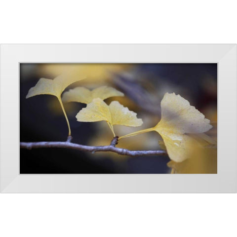 Autumn Gingko III White Modern Wood Framed Art Print by Crane, Rita