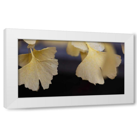 Autumn Gingko IV White Modern Wood Framed Art Print by Crane, Rita
