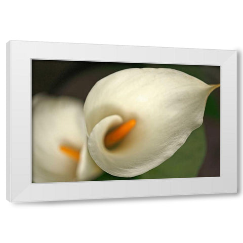 Calla Lilies V White Modern Wood Framed Art Print by Crane, Rita