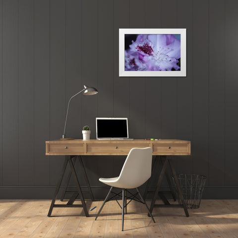 Lavender Rhodies II White Modern Wood Framed Art Print by Crane, Rita