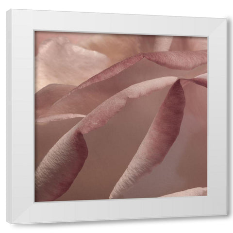 Heart of a Rose VIII White Modern Wood Framed Art Print by Crane, Rita