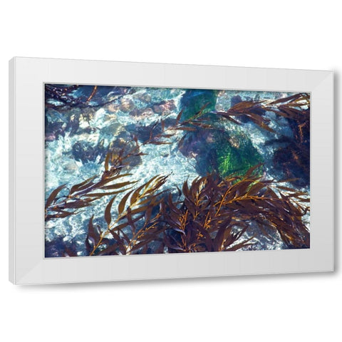 Mermaid Tresses I White Modern Wood Framed Art Print by Crane, Rita