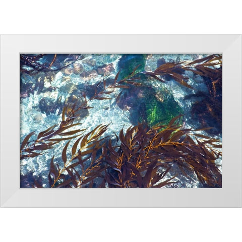 Mermaid Tresses I White Modern Wood Framed Art Print by Crane, Rita