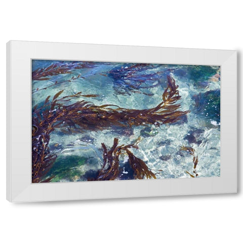Mermaid Tresses II White Modern Wood Framed Art Print by Crane, Rita