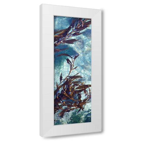 Mermaid Tresses VI White Modern Wood Framed Art Print by Crane, Rita
