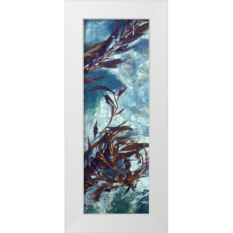 Mermaid Tresses VI White Modern Wood Framed Art Print by Crane, Rita