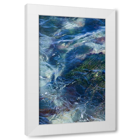 Tide Pool I White Modern Wood Framed Art Print by Crane, Rita