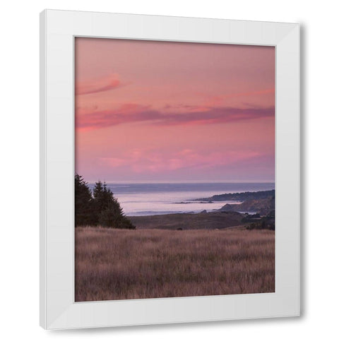 Rosy Coastal Sunset I White Modern Wood Framed Art Print by Crane, Rita