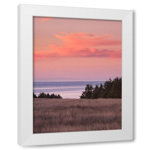 Rosy Coastal Sunset II White Modern Wood Framed Art Print by Crane, Rita