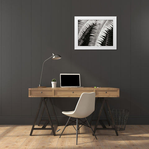 Fern I White Modern Wood Framed Art Print by Christensen, Jim
