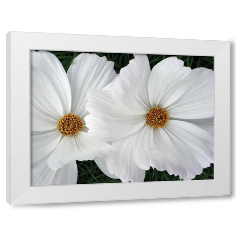 Cosmo Trail II White Modern Wood Framed Art Print by Christensen, Jim