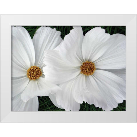 Cosmo Trail II White Modern Wood Framed Art Print by Christensen, Jim