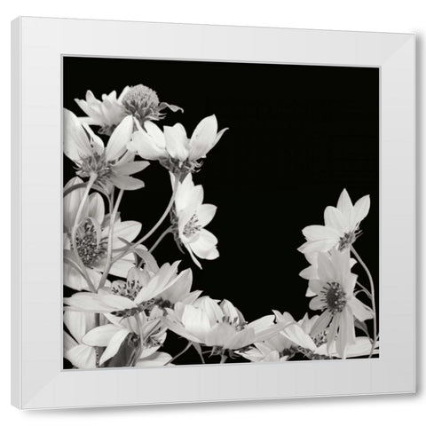 Flower Cluster 2 White Modern Wood Framed Art Print by Christensen, Jim