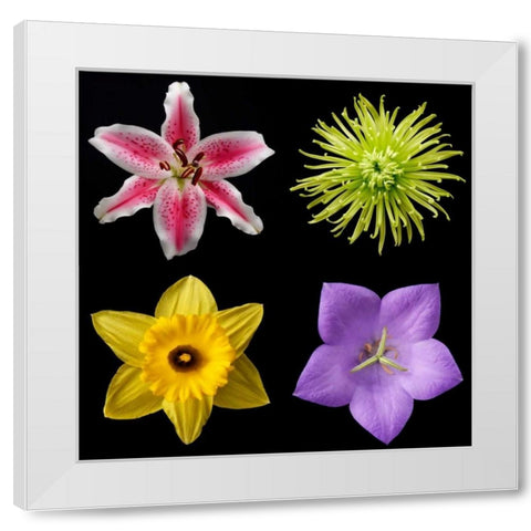 Flower Group 1 White Modern Wood Framed Art Print by Christensen, Jim