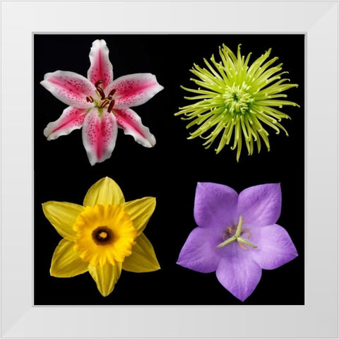 Flower Group 1 White Modern Wood Framed Art Print by Christensen, Jim