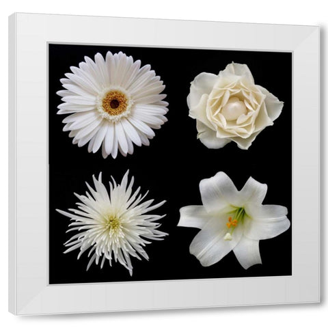 Flower Group 2 White Modern Wood Framed Art Print by Christensen, Jim
