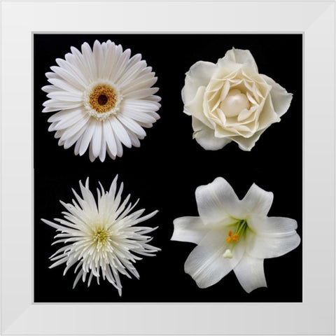 Flower Group 2 White Modern Wood Framed Art Print by Christensen, Jim