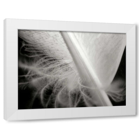 Feather I White Modern Wood Framed Art Print by Christensen, Jim