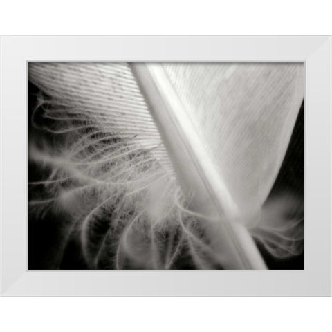 Feather I White Modern Wood Framed Art Print by Christensen, Jim
