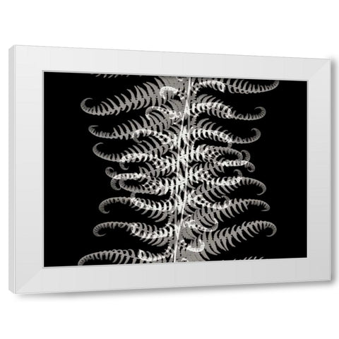 Ferns I White Modern Wood Framed Art Print by Christensen, Jim