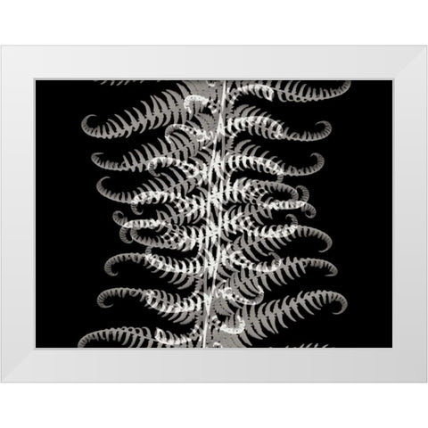Ferns I White Modern Wood Framed Art Print by Christensen, Jim