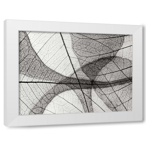 Leaf Designs I BW White Modern Wood Framed Art Print by Christensen, Jim