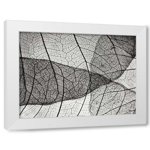 Leaf Designs II BW White Modern Wood Framed Art Print by Christensen, Jim