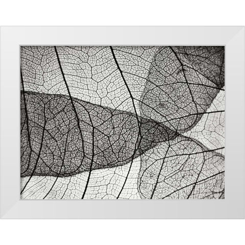 Leaf Designs II BW White Modern Wood Framed Art Print by Christensen, Jim