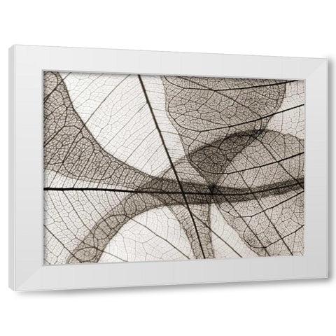 Leaf Designs I Sepia White Modern Wood Framed Art Print by Christensen, Jim