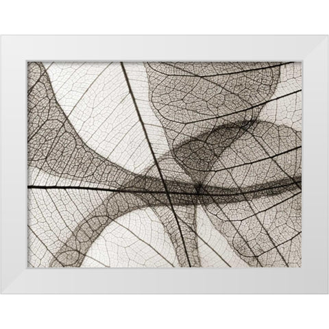 Leaf Designs I Sepia White Modern Wood Framed Art Print by Christensen, Jim