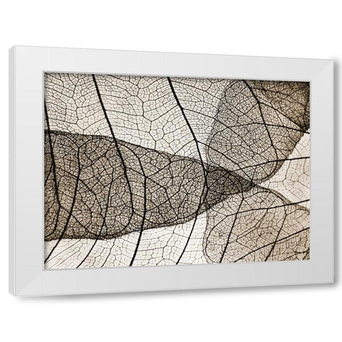 Leaf Designs II Sepia White Modern Wood Framed Art Print by Christensen, Jim