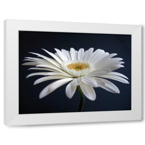 Gerber Angle I White Modern Wood Framed Art Print by Christensen, Jim