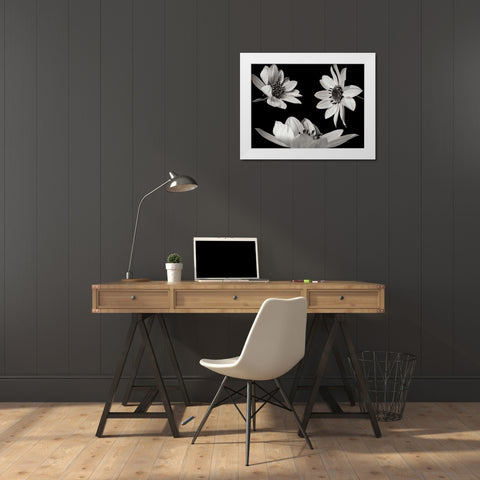 Trio I White Modern Wood Framed Art Print by Christensen, Jim