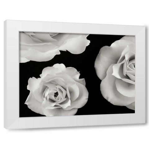 Trio II White Modern Wood Framed Art Print by Christensen, Jim