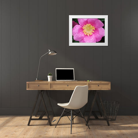 Flower After Rain II White Modern Wood Framed Art Print by Christensen, Jim