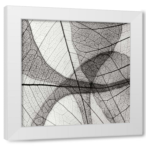 Leaf Designs III BW White Modern Wood Framed Art Print by Christensen, Jim