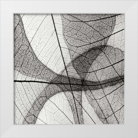 Leaf Designs III BW White Modern Wood Framed Art Print by Christensen, Jim