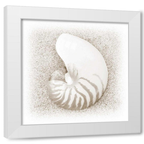 In the Sand III White Modern Wood Framed Art Print by Christensen, Jim