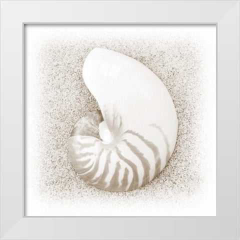 In the Sand III White Modern Wood Framed Art Print by Christensen, Jim