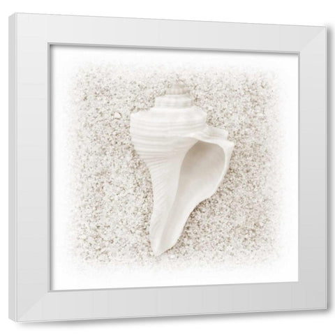 In the Sand IV White Modern Wood Framed Art Print by Christensen, Jim