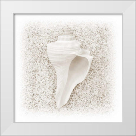 In the Sand IV White Modern Wood Framed Art Print by Christensen, Jim