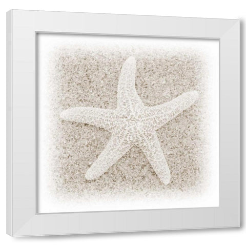 In the Sand V White Modern Wood Framed Art Print by Christensen, Jim