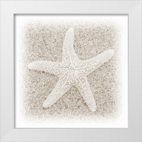 In the Sand V White Modern Wood Framed Art Print by Christensen, Jim