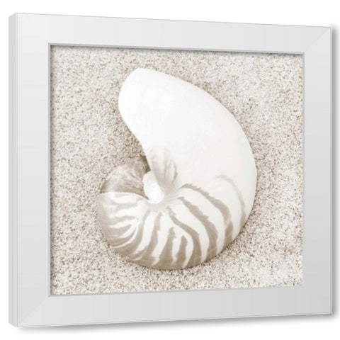 In the Sand VII White Modern Wood Framed Art Print by Christensen, Jim